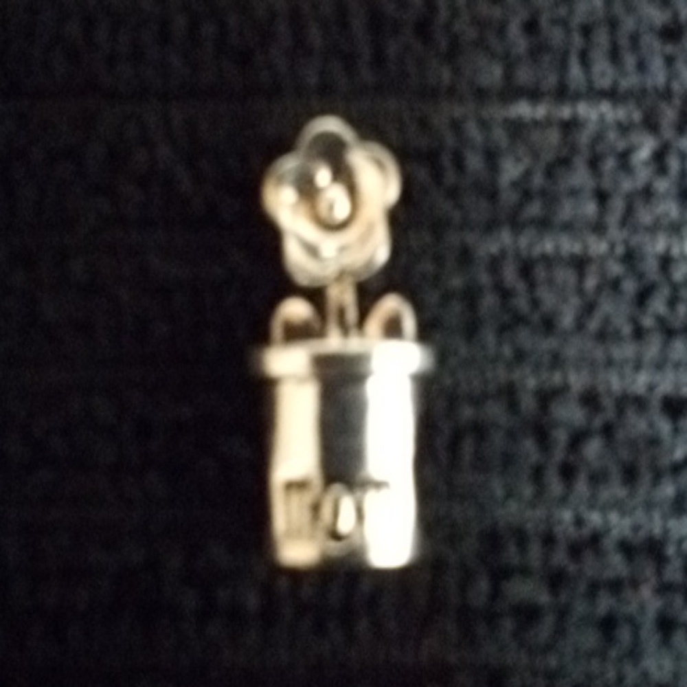 CHARMS - Picture 2 of 8